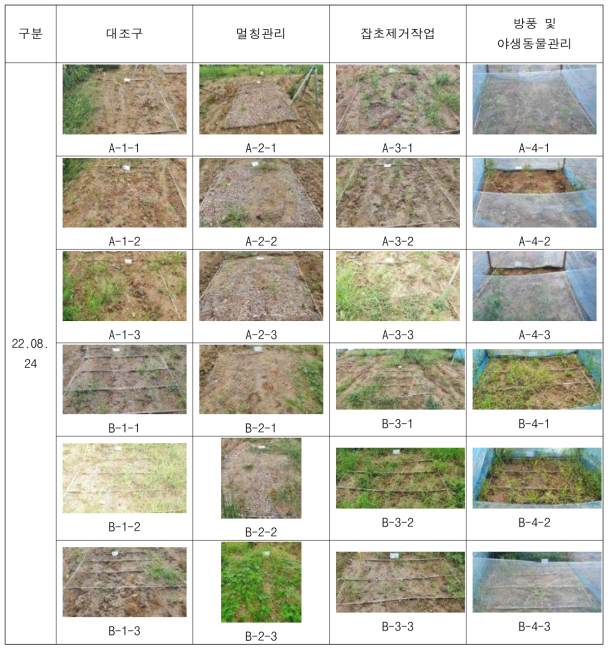 Test bed 6의 시험구 모니터링 3차