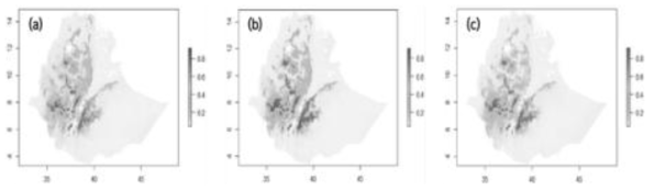 시나리오에 따른 Highland Bamboo의 잠재적 분포 서식지 예측 (a) 현재 Highland Bamboo 예상 서식 적합지 (b) SSP2-4.5 예상 서식 적합지 (c) SSP5-8.5 예상 서식 적합지 (Yebeyen et al., 2022)