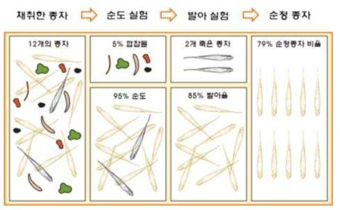 현지에서 채취한 종자의 선별 과정 개념도