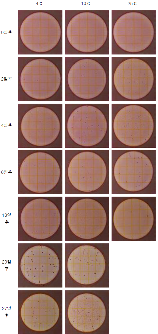 생목이버섯 저장 온도에 따른 건조필름배지에서 대장균수 변화(계속)