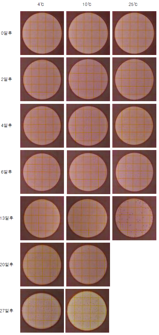 생목이버섯 저장 온도에 따른 건조필름배지에서 대장군균수 변화