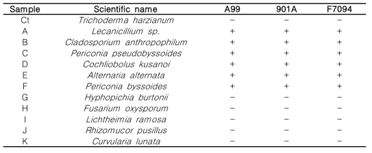 재배사 내 공기에서 분리된 진균과 3가지 목이버섯 균주의 대치배양 결과