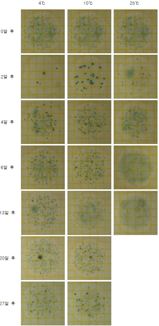 저장온도에 따른 건조필름배지에서 효모·곰팡이수 변화