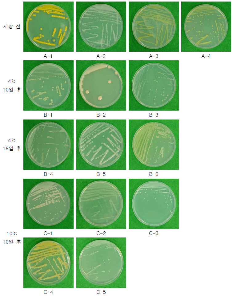 저장기간에 따른 목이의 미생물 조사