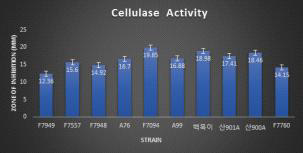 10 가지 목이버섯 균주의 Cellulase 활성 결과