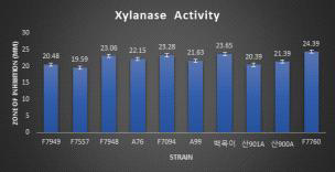 모든 목이버섯 균주의 Xylanase 활성 결과