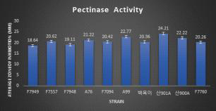 모든 목이버섯 균주의 Pectinase 활성 결과