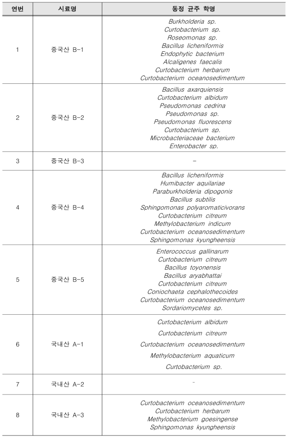 미생물 동정 결과