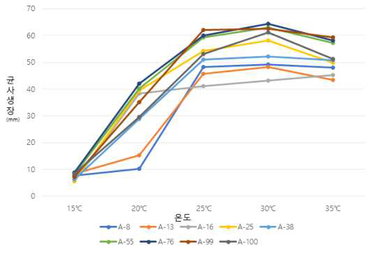 교배균주 온도별 균사생장 조사