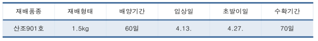 신품종 현장 적응성 배양기간 및 발이 특성