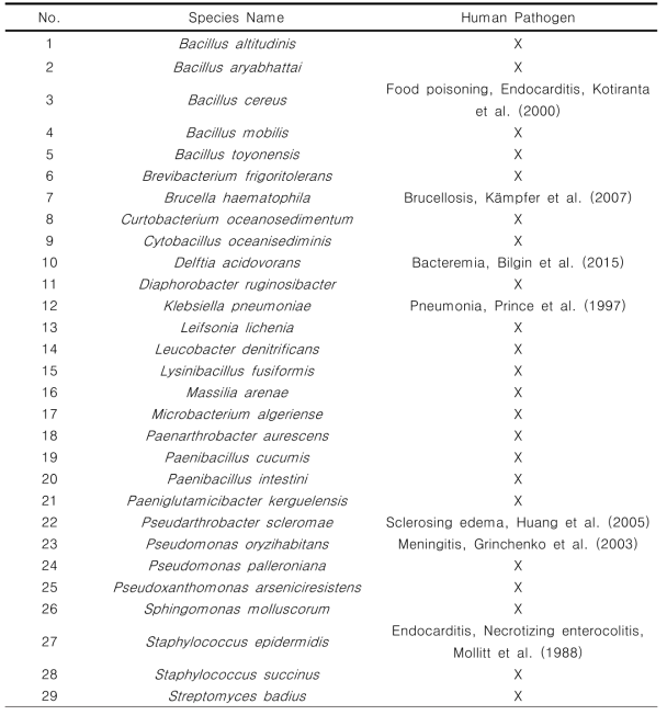 2021년 재배사 내 공기 중에서 분리된 세균의 인체병원성 여부