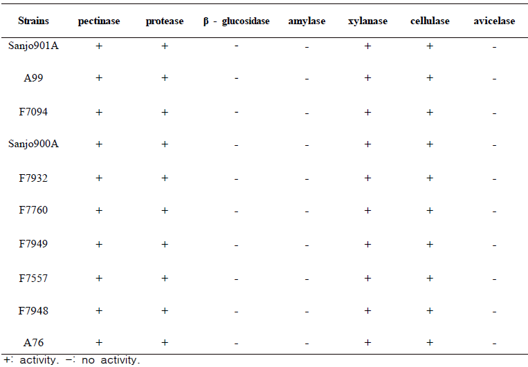 10개 목이균주의 세포외 효소 활성 존재 유무