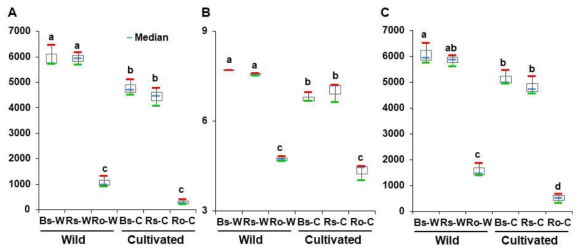 Richness and diversity of microbial communities between compartments in wild and cultivated area. Richness was estimated by the Chao1 (A), species evenness was represented by Shannon’s index (B), and biodiversity incorporating phylogenetic difference between species was measured through Phylogenetic diversity (C). Red and green represent high and low while horizontal blue bars within boxes represent median. The tops and bottoms of boxes represent 75th and 25th quartiles, respectively. Diversities compared between Bulk soil (Bs), rhizosphere soil (Rs), and Root (Ro) in wild area and cultivated areas