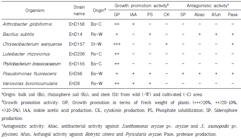 Plant growth promoting and antagonistic activities of bacteria selected from rhizosphere and roots of long-sepal Donggang pasque-flower plants