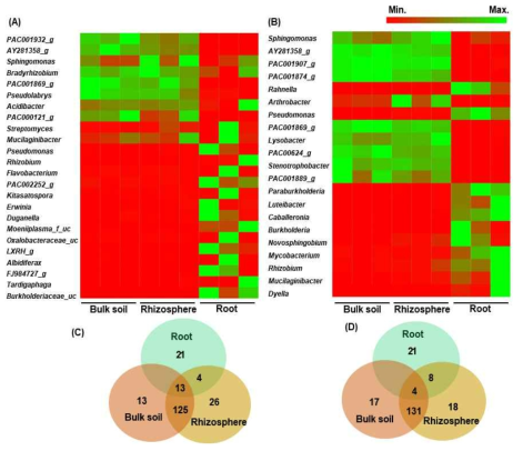 Comparison of relative abundance of bacteria at genus level in bulk soil, rhizosphere, and root of Ulleung-sanmaneul plants. The bacterial genera with more than 1% relative abundance in each compartment of wild (A) and cultivated (B) habitats were selected for comparison. The Venn diagrams show unique or shared genera of bacterial microbiota with relative abundance above 0.1% in each compartment of wild (C) and cultivated (D) areas. Among the species with relative abundance >1% in roots of wild and cultivated plants, Pseudomonas fulva was common with similar abundance in both the roots