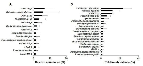 Relative abundance of bacterial species within the roots of Ulleung-sanmaneul plants. The bacterial species with relative abundance >1% in roots were compared between wild (A) and cultivated (B) habitats