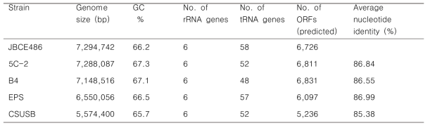 Different Pseudomonas species and their genome features