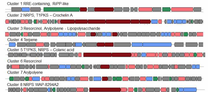 Representation of each secondary metabolite biosynthetic gene cluster in the genome of Variovorax paradoxus JBCE486. Red, core biosynthetic genes; pink, additional biosynthetic genes; blue, transport-related genes; green, regulatory genes; and grey, other genes. Biosynthetic gene cluster structure and organization are predicted by antiSMASH6 and confirmed with PRISM3. Abbreviations are as follows: RRE, RRE-element containing cluster; RiPP-like, Other unspecified ribosomally synthesized and post-translationally modified peptide product cluster; NRPS, non-ribosomal peptide synthase; T1PKS, Type I Polyketide synthase