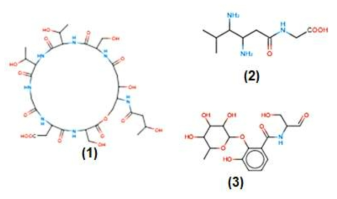 Chemical structure of products produced by the biosynthetic gene cluster. The structures of the products were analyzed using PRISM4 for (A) BGC 2, (B) cluster 6, and (C) cluster 8