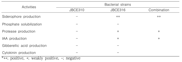 Mechanisms related with plant growth promotion by Leifsonia lichenia JBCE310, Chryseobacterium piperi JBCE316, and their combination
