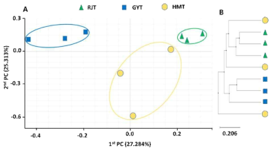 Principal coordinates analysis (PCoA) of fungal microbiota (A) and UPGMA clustering based on Bray-Curtis dissimilarity (B). Fungal communities from rhizosphere soil of greenhouse at rooting and juvenile tuber stage (JT), growing and young tuber stage (YT), harvesting and mature tuber stage (MT) were compared using relative abundance of all OTUs.