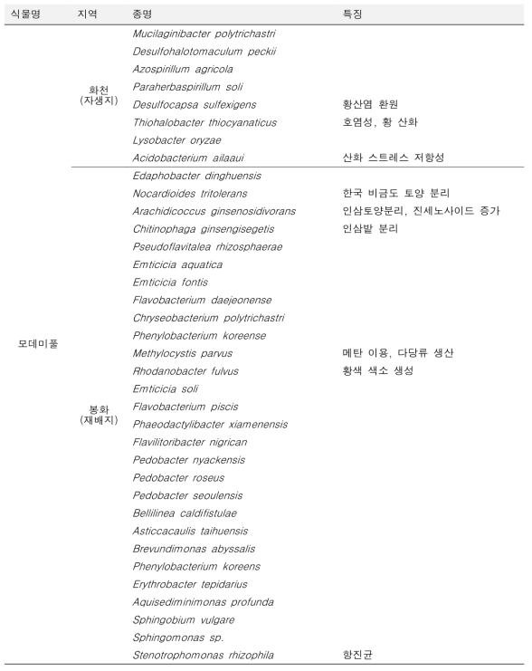 모데미풀 자생지와 재배지 토양 군집 내 특이적 균주와 특징