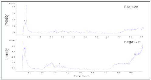 표고버섯 시료의 total ion chromatograms (TIC)