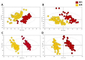 표고버섯 중 대사체 다변량 분석 결과 (A, C; positive mode, B, D; negative mode)