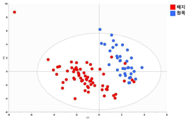 생산 환경에 따른 대사체 다변량 분석 결과
