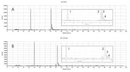 전자코로 분석된 표고버섯 시료의 크로마토그램 (A: MXT-5 column, B: MXT-1701 column)