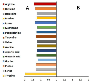 재배 방법에 따른 표고버섯 아미노산 함량 비교. (A) 배지 (B) 원목