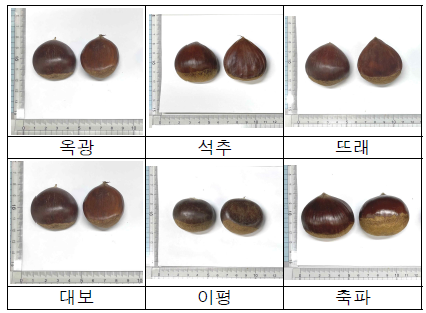 밤 품종 외관