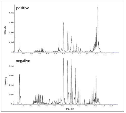 율피 시료의 total ion chromatograms (TIC)