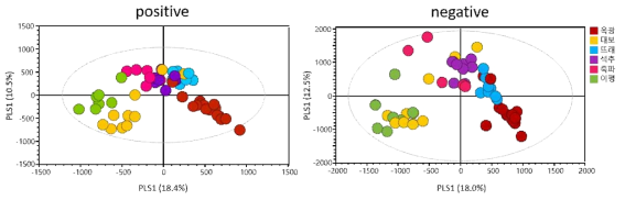 종 율피 시료의 대사체 다변량 분석 결과