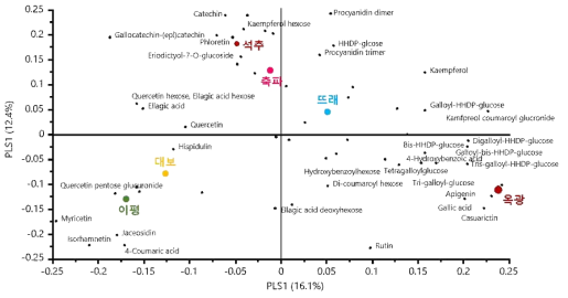 율피 시료로부터 얻어진 유의적 대사체의 loading scatter plot