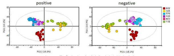 6종 율피 시료의 대사체 다변량 분석 결과