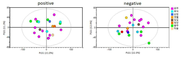 생산지역에 따른 옥광 율피의 대사체 다변량 분석 결과