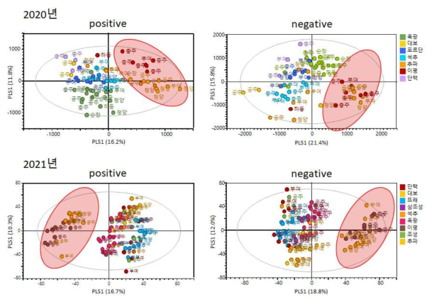 2020, 2021년 율피 지역, 품종간 패턴 분석 결과