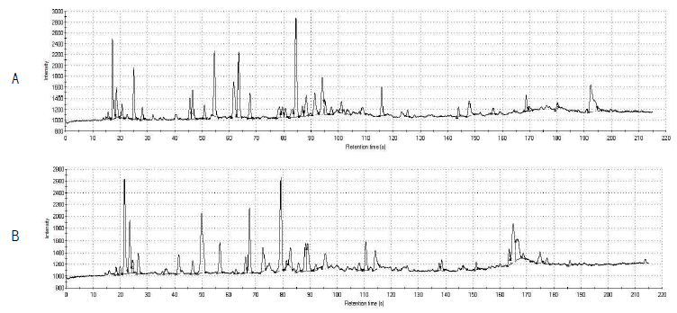 전자코로 분석된 밤의 크로마토그램 (A: MXT-5 column, B: MXT-1701 column)