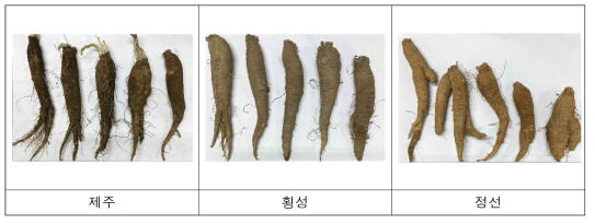 더덕 품종 외관