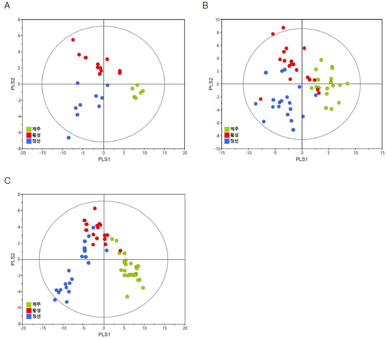 재배 지역에 따른 더덕 시료 내 대사체 다변량 분석 결과 (A: 2021년 봄 수확, B: 2021년 가을 수확, C: 2022년 봄 수확)