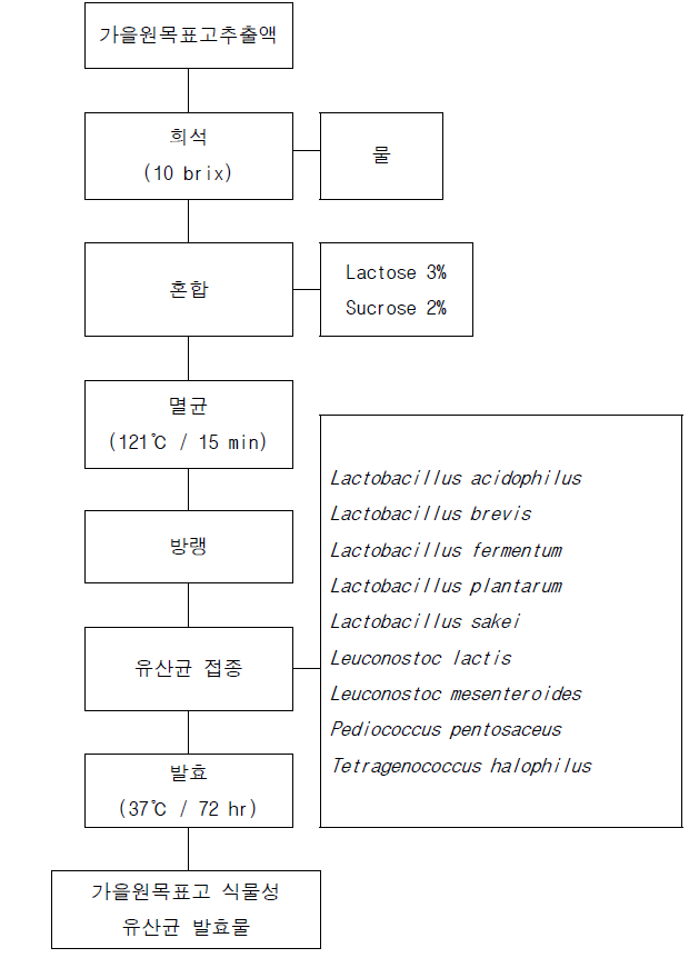 가을원목표고 식물성 유산균 발효물 제조 공정