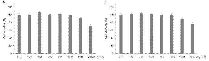 Effects of (A) sample 1 and (B) sample 2 on cell viability of Raw264.7 cells. The cells were incubated during differentiation with various concentrations of sample. The cell viability was determined by MTT assay. Values are expressed as the mean±SD of at least three independent experiments