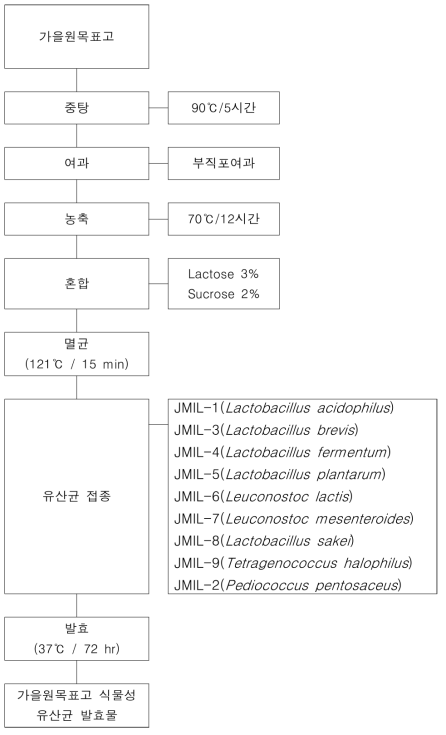 가을원목표고 식물성 유산균 발효물 제조