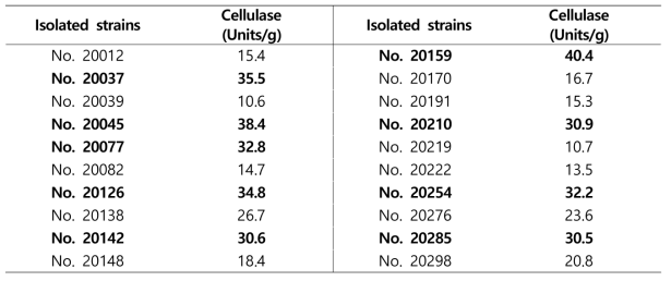 Cellulase enzyme activity of various lactic acid bacteria isolated from the Kimchi