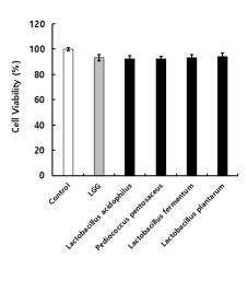 Cytotoxicity of lactic acid bacteria on cell viability of RAW 264.7 cell