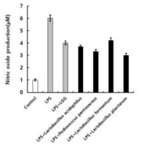 Effect of lactic acid bacteria on production of NO in RAW 264.7 cells