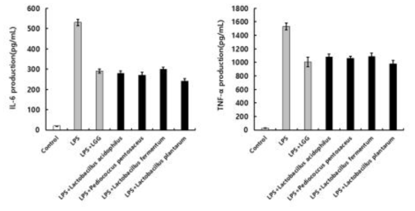 Effect of lactic acid bacteria on production of IL-6 and TNF-α in RAW 264.7 cells