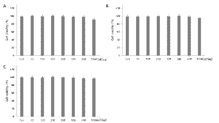 Cell viability of Lentinus edodes extract on Raw264.7 cells (A), AGS cells (B) and RBL-2H3 cells (3). Cells were treated with various concentrations of Lentinus edodes extract for 24 h The cell viability was determined by MTT assay, as described in Materials and Methods