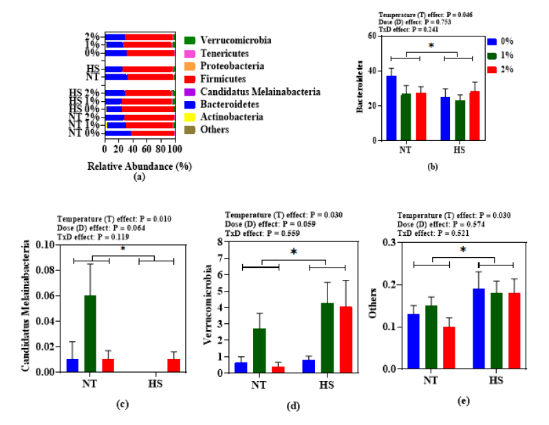 Effect of steam-exploded wood (SEW) supplementation on the relative abundance of phylum (a) and significantly abundance microbiota namely Bacteroidetes (b) Candidatus Melainabacteria (c) Verrcomicrobia (d) and others respectively, in the cecum of broilers reared under normal or cyclic heat stress conditions. Dietary treatments were 0, 1, and 2% SEW in diets respectively. The temperature of the rooms was maintained at either thermoneutral (NT; 21 °C) or cyclic heat stress (CHS; 31 °C; 6 h daily) for seven days